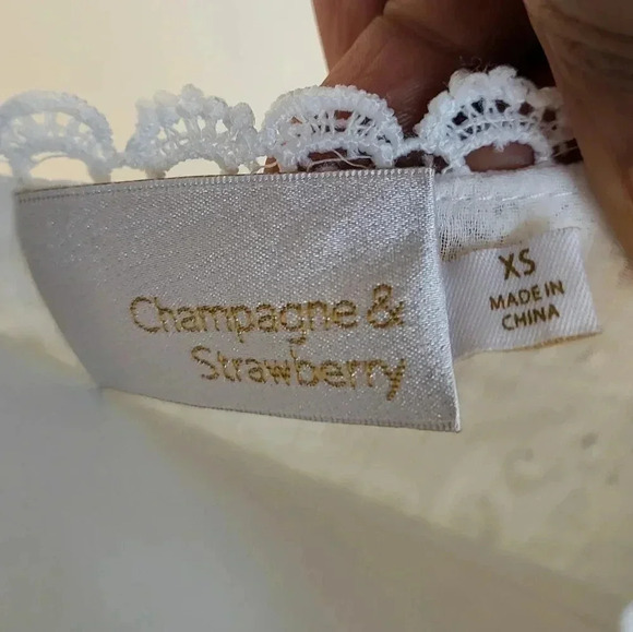 Champagne & Strawberry Embroidered Lace V-Neck Peplum Hem Long Sleeve Blouse(XS) - Picture 8 of 9